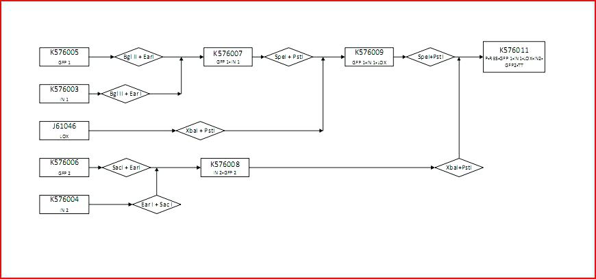 Analyzing Experimental Design Worksheet Answers â Streamclean Info